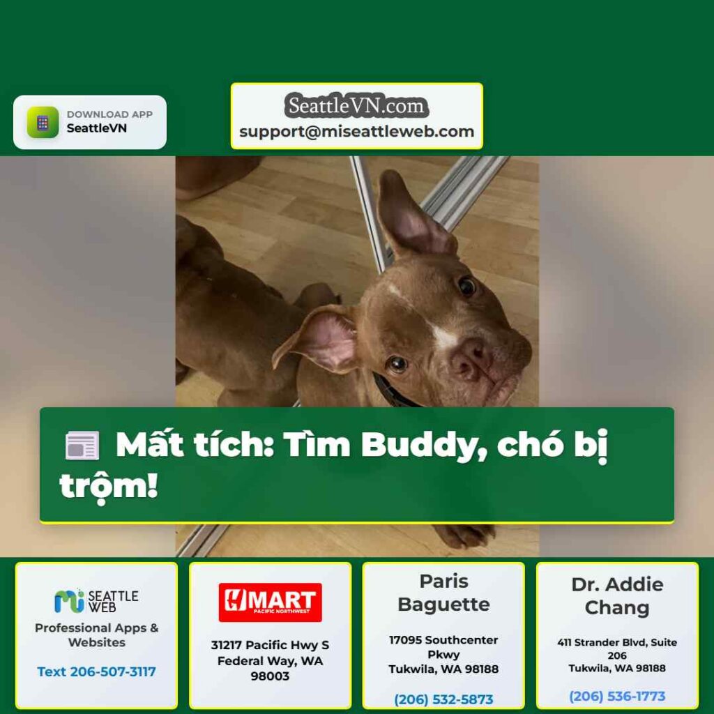 Mất tích: Tìm Buddy, chó bị trộm!
