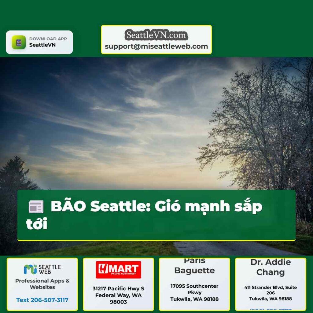 BÃO Seattle: Gió mạnh sắp tới