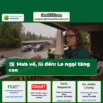 Mưa về lũ đến Lo ngại tăng cao