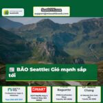 BÃO Seattle Gió mạnh sắp tới