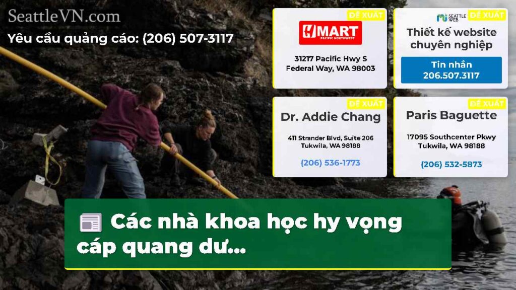 Các nhà khoa học hy vọng cáp quang dư...