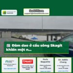 Đâm dao ở cầu sông Skagit khiến một n…