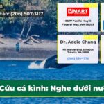 Cứu cá kình Nghe dưới nước