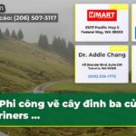 Phi công vẽ cây đinh ba của Mariners …