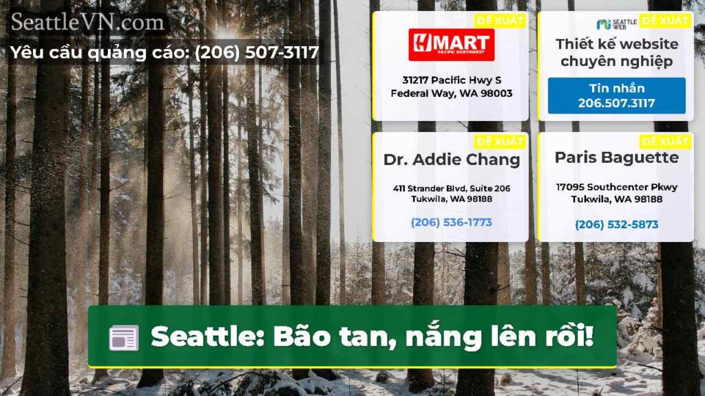 Seattle: Bão tan, nắng lên rồi!