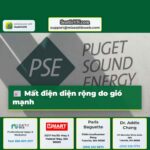 Mất điện diện rộng do gió mạnh