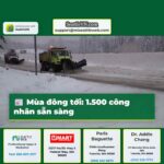 Mùa đông tới 1.500 công nhân sẵn sàng