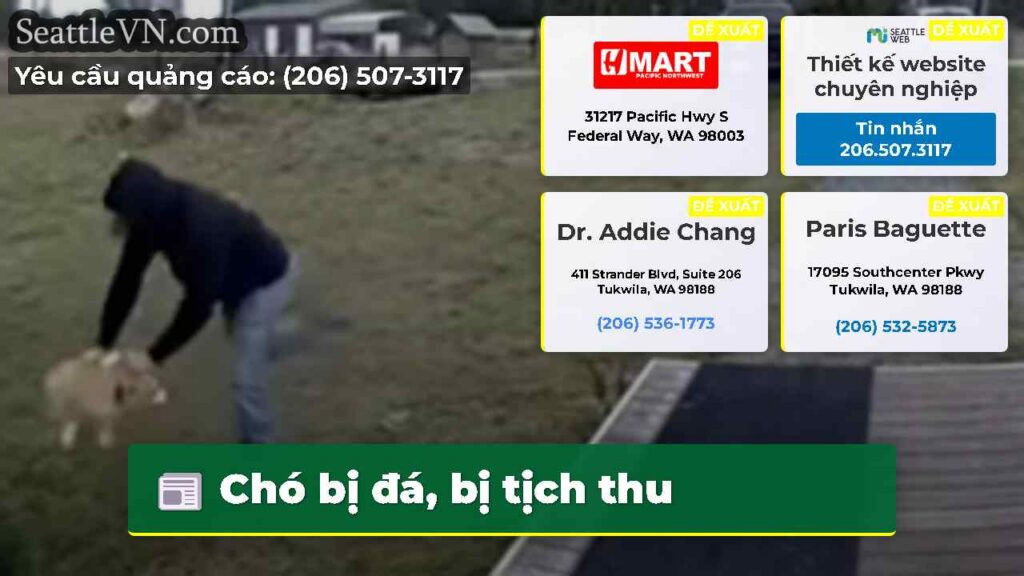 Chó bị đá, bị tịch thu