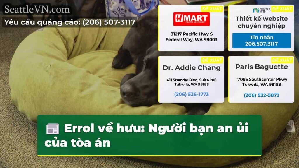 Errol về hưu: Người bạn an ủi của tòa án