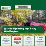 Mất điện hàng loạt ở Tây Washington