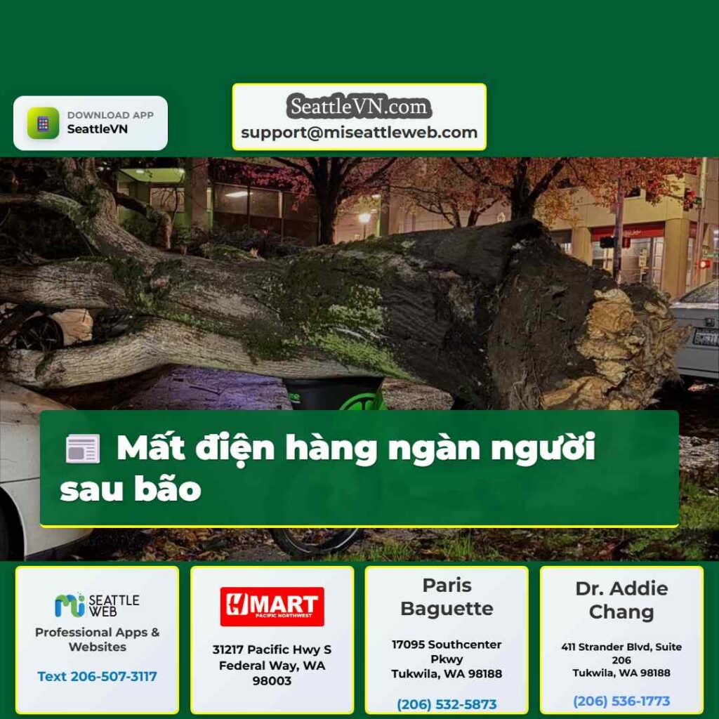 Mất điện hàng ngàn người sau bão