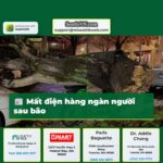 Mất điện hàng ngàn người sau bão