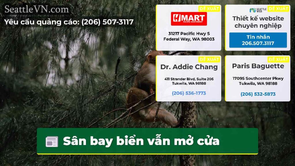 Sân bay biển vẫn mở cửa