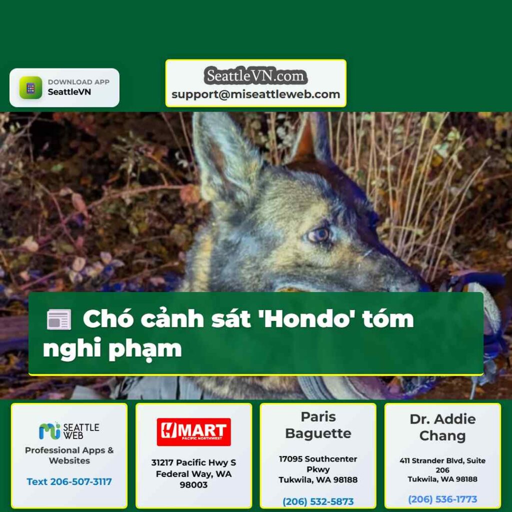 Chó cảnh sát 'Hondo' tóm nghi phạm