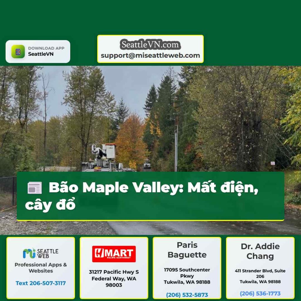 Bão Maple Valley: Mất điện, cây đổ