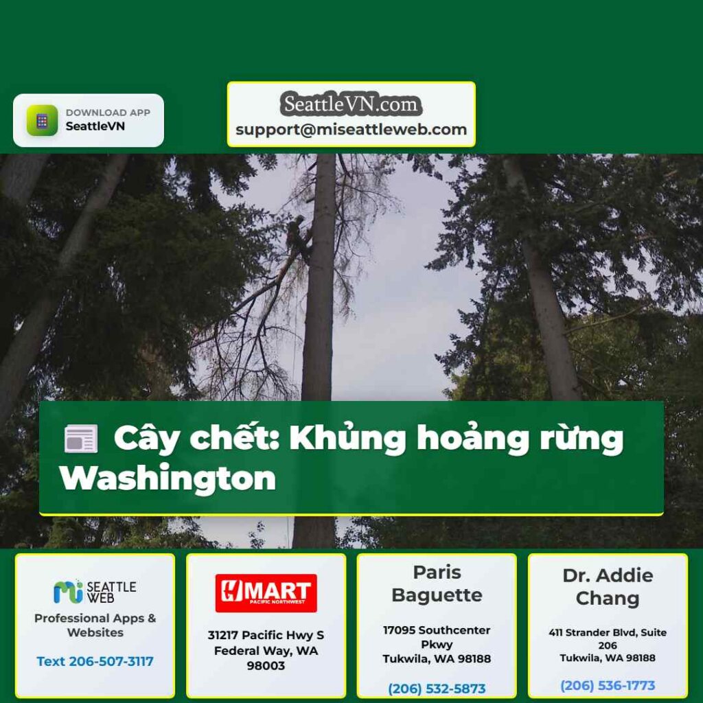 Cây chết: Khủng hoảng rừng Washington