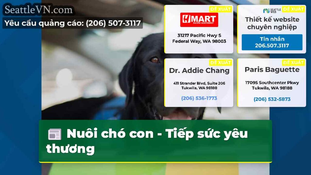 Nuôi chó con - Tiếp sức yêu thương