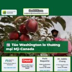 Táo Washington lo thương mại Mỹ-Canada