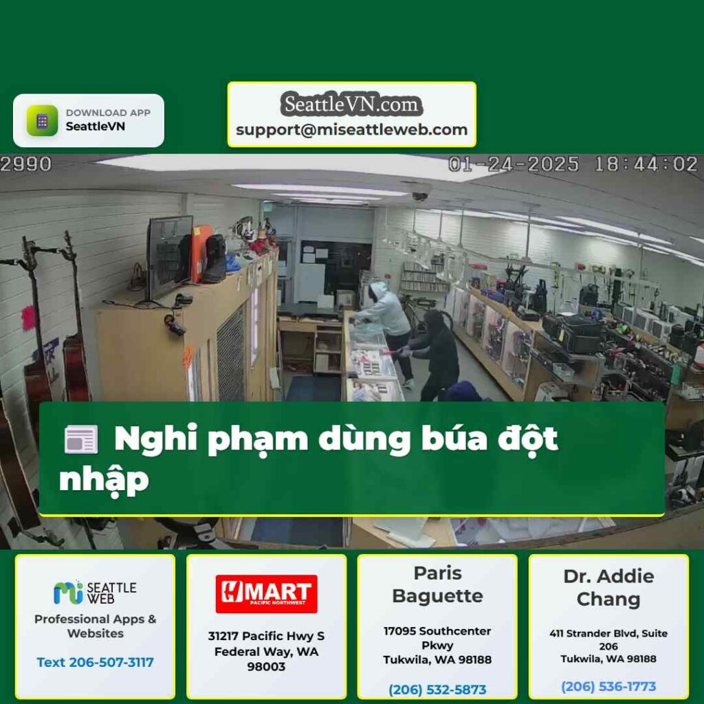 Nghi phạm dùng búa đột nhập