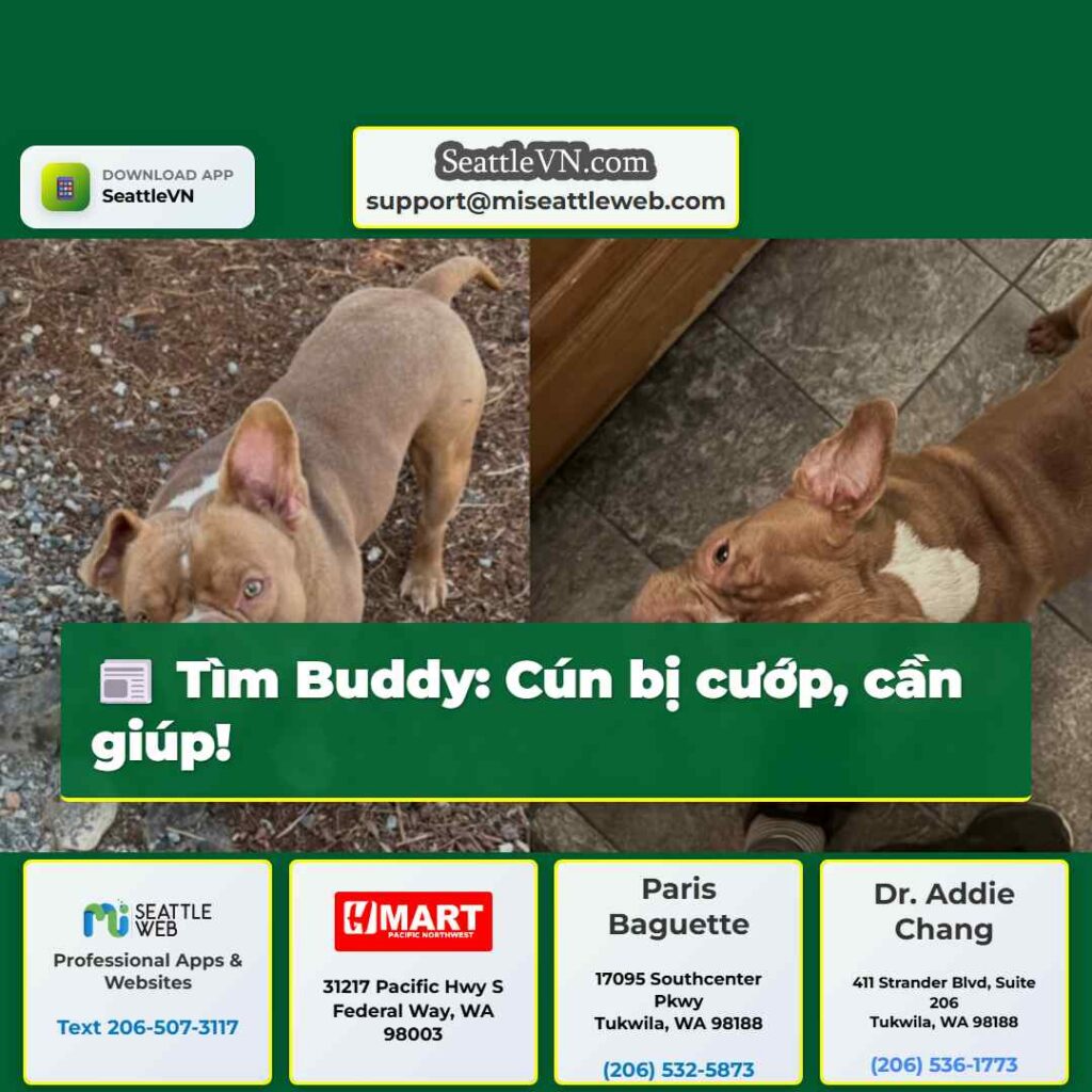 Tìm Buddy: Cún bị cướp, cần giúp!