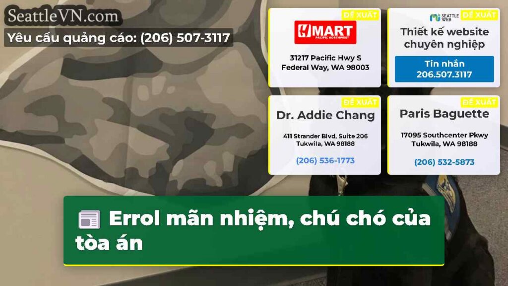 Errol mãn nhiệm, chú chó của tòa án