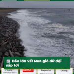 Bão lớn về! Mưa gió dữ dội sắp tới