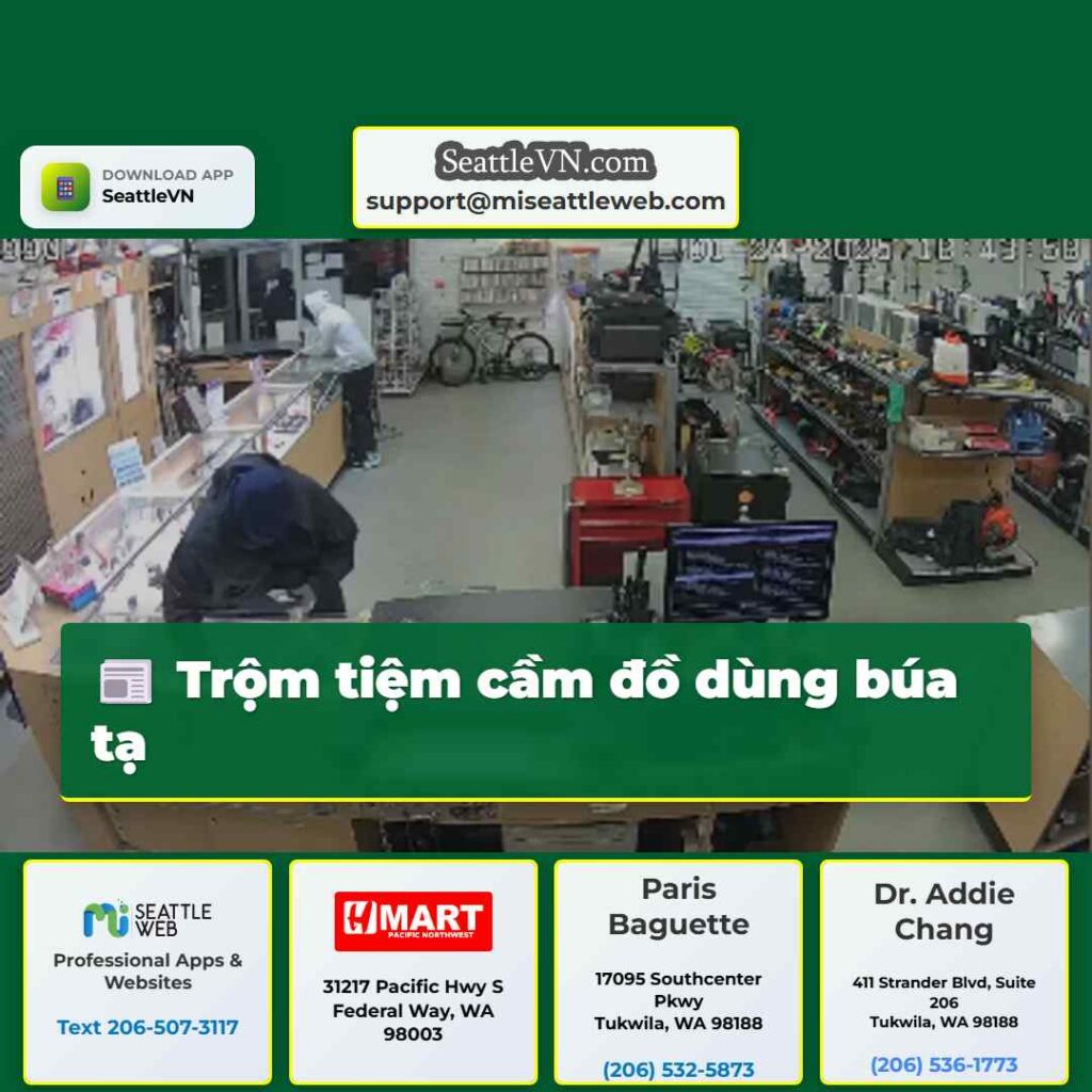 Trộm tiệm cầm đồ dùng búa tạ