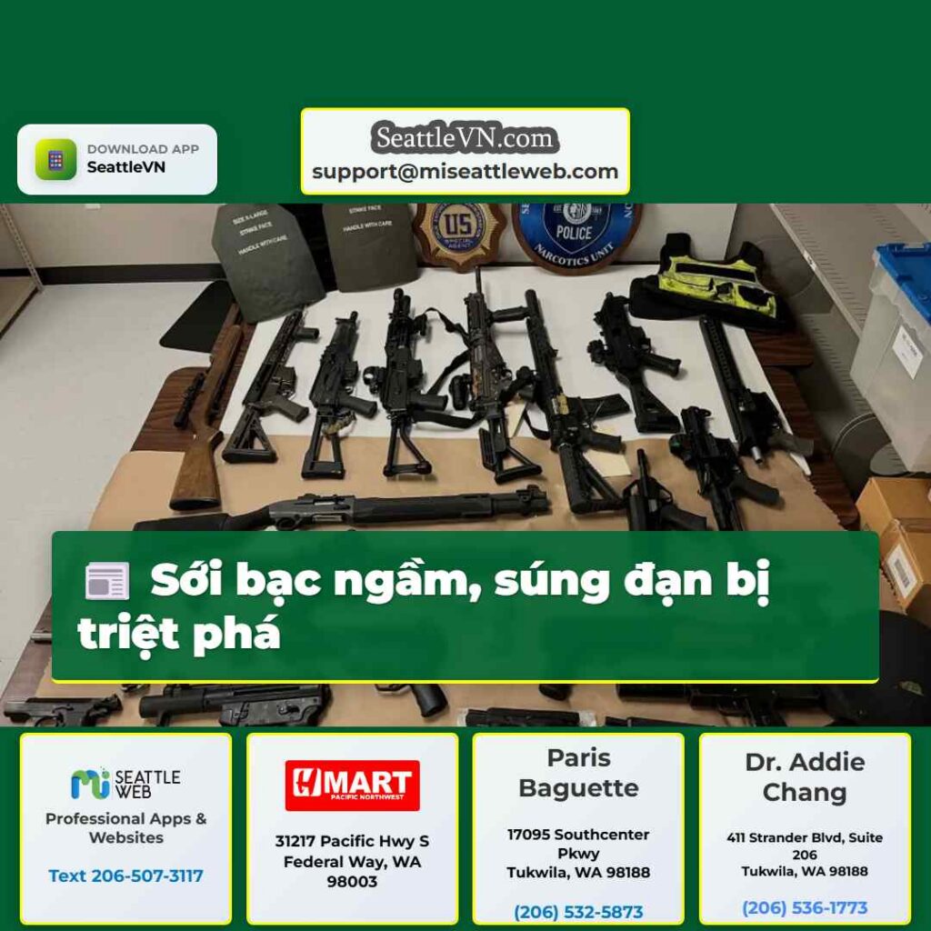 Sới bạc ngầm, súng đạn bị triệt phá