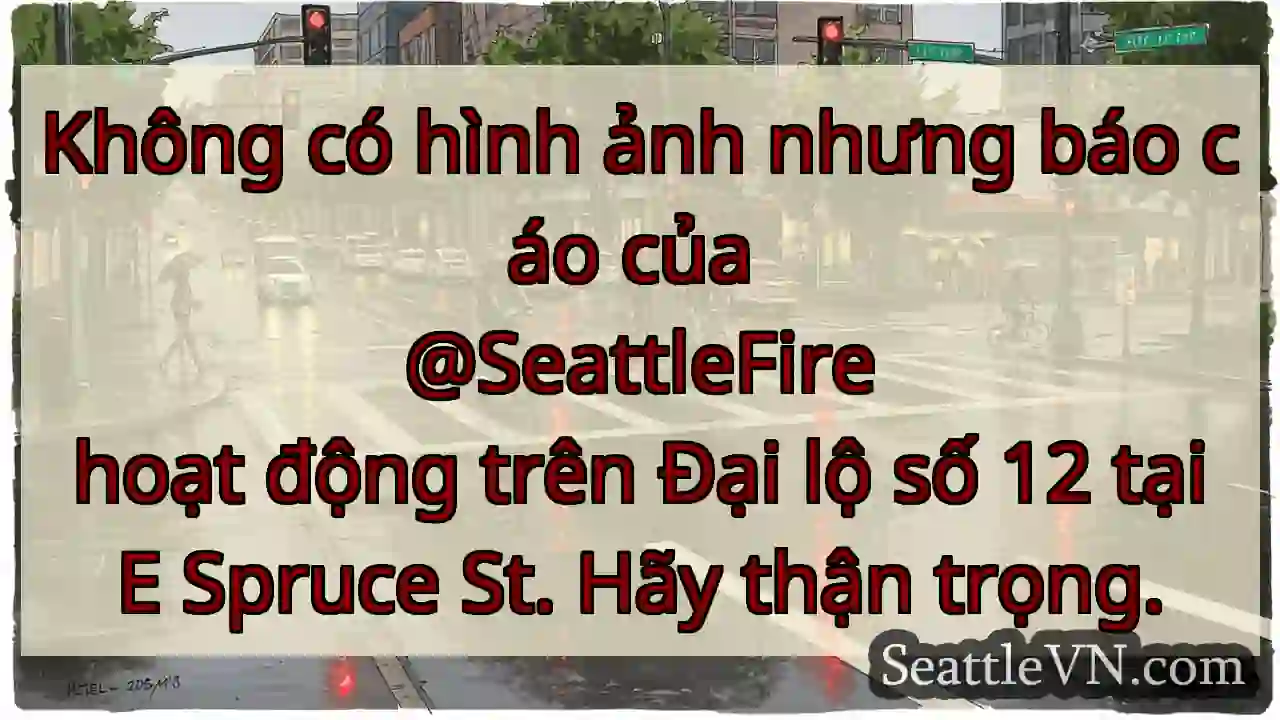 Không có hình ảnh nhưng báo cáo của