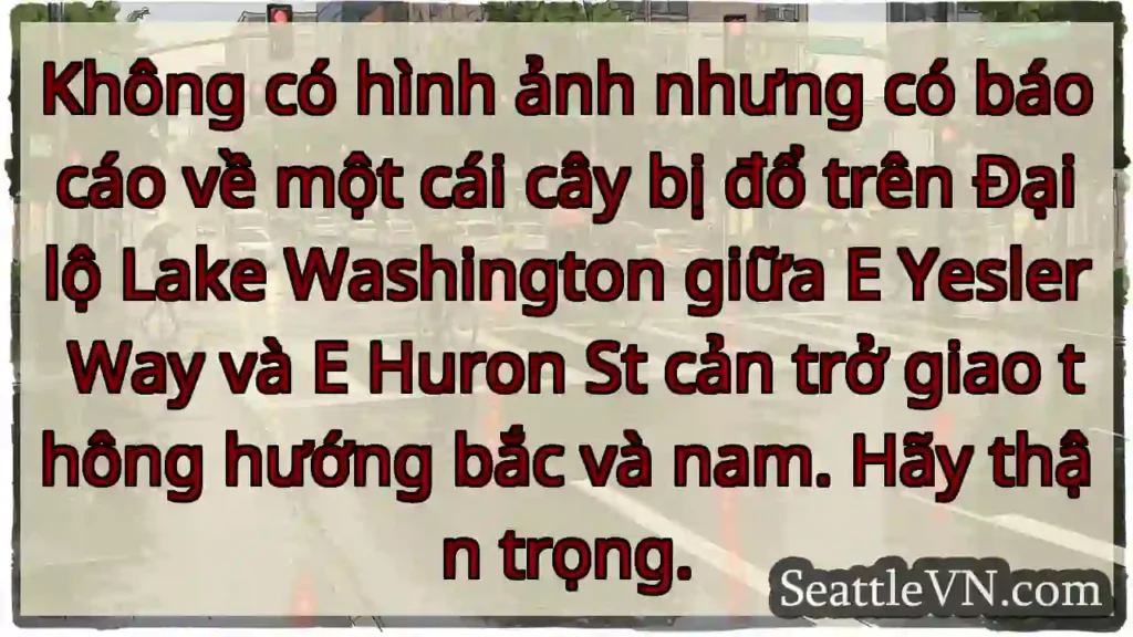 Không có hình ảnh nhưng có báo cáo về một cái cây