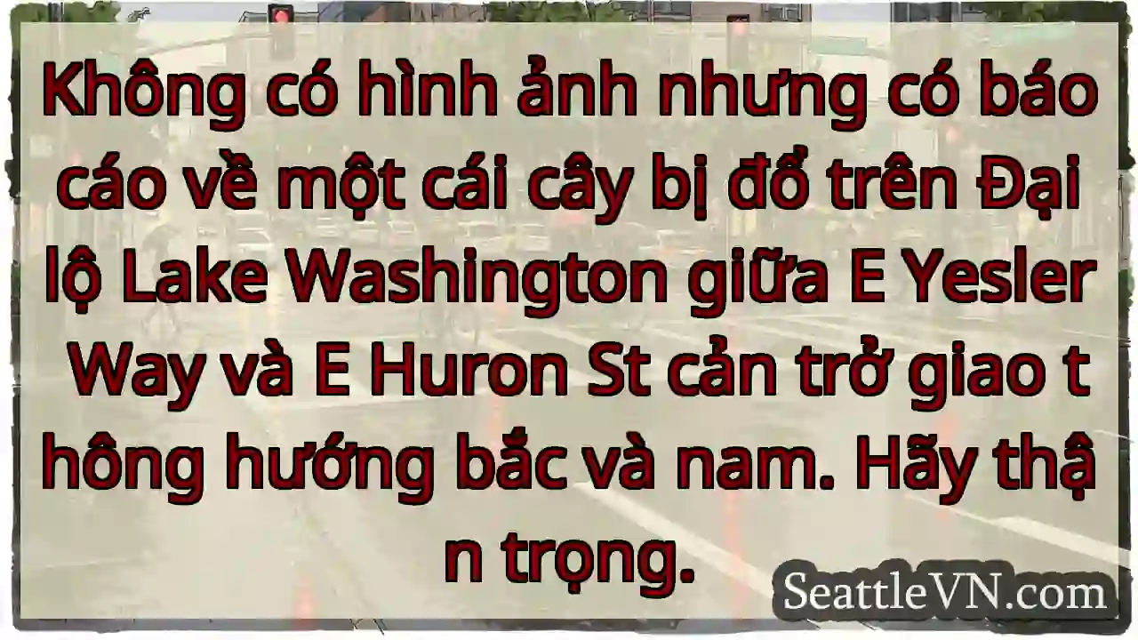 Không có hình ảnh nhưng có báo cáo về một cái cây