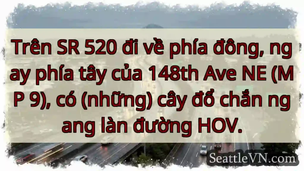 Trên SR 520 đi về phía đông, ngay phía tây của