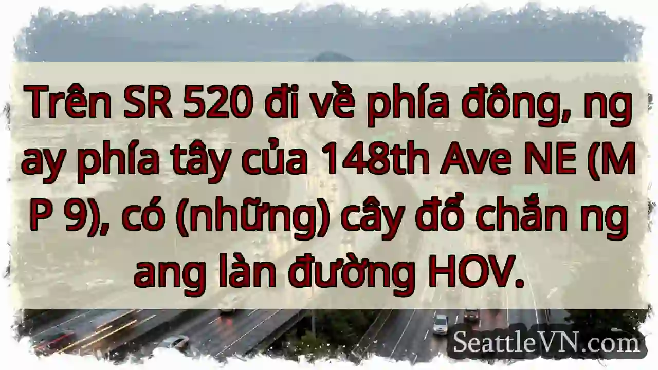 Trên SR 520 đi về phía đông, ngay phía tây của