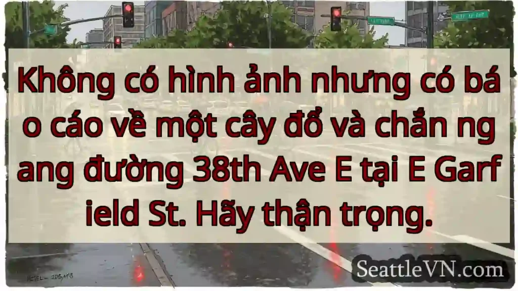 Không có hình ảnh nhưng có báo cáo về một cây đổ
