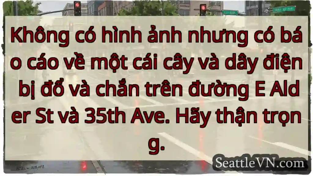 Không có hình ảnh nhưng có báo cáo về một cái cây