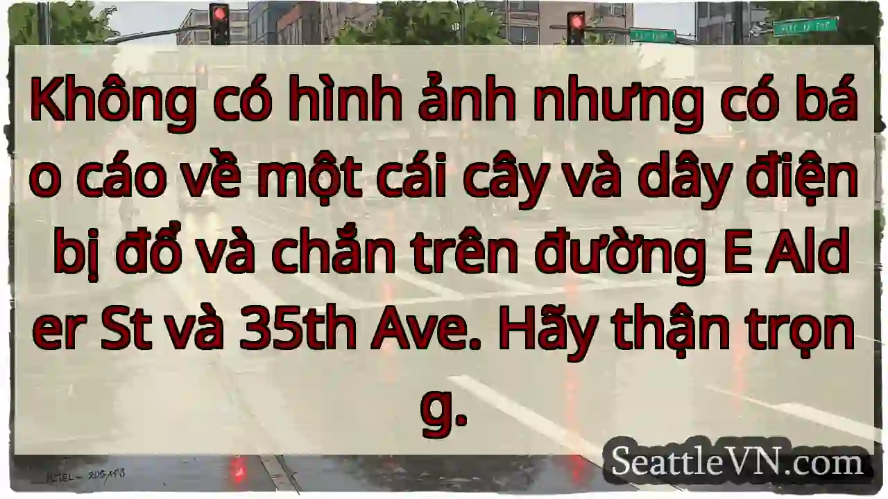 Không có hình ảnh nhưng có báo cáo về một cái cây