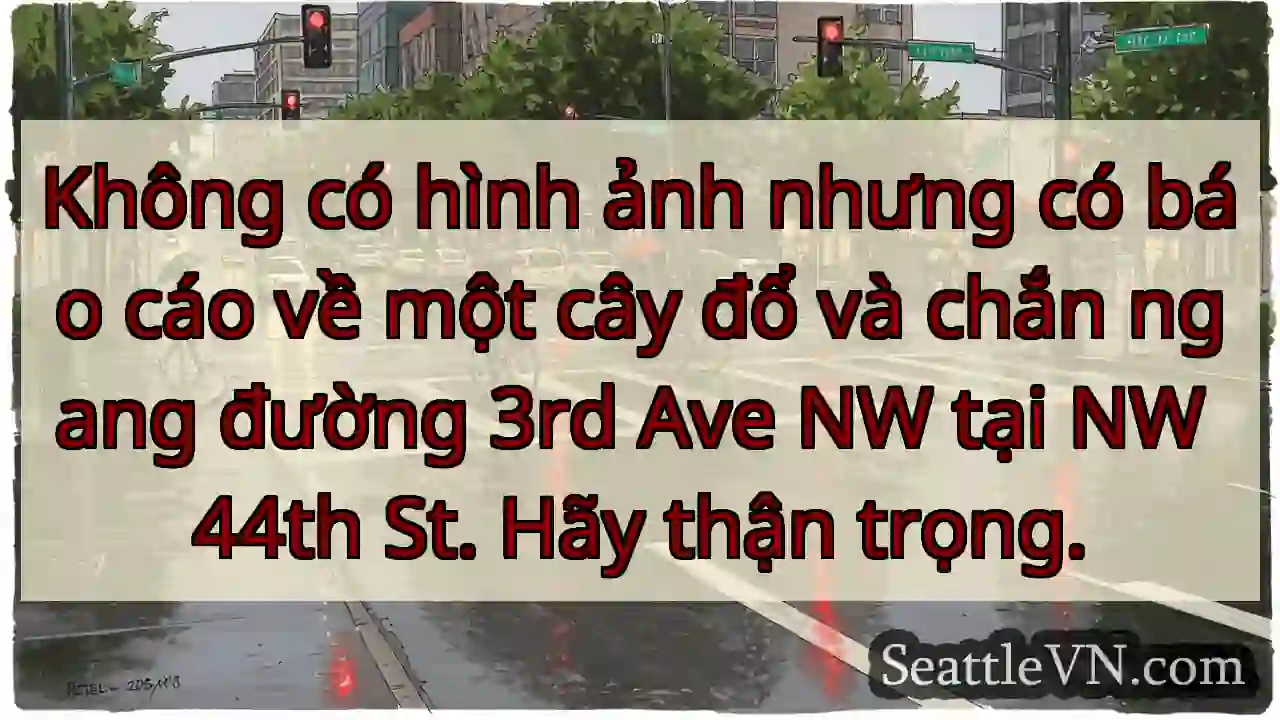 Không có hình ảnh nhưng có báo cáo về một cây đổ
