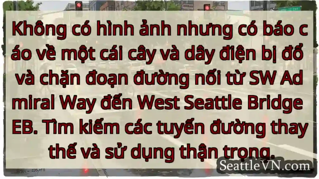 Không có hình ảnh nhưng có báo cáo về một cái cây