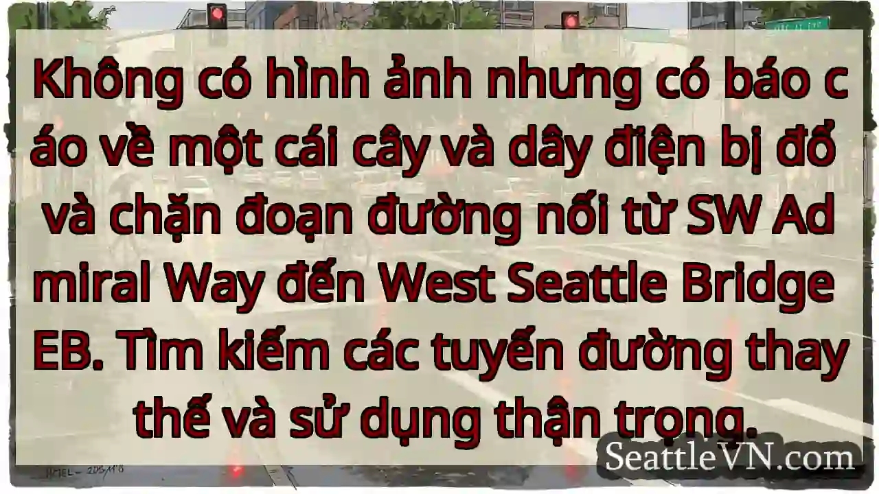 Không có hình ảnh nhưng có báo cáo về một cái cây