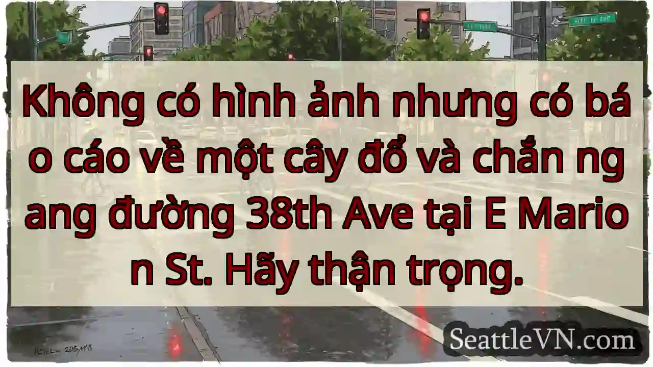 Không có hình ảnh nhưng có báo cáo về một cây đổ