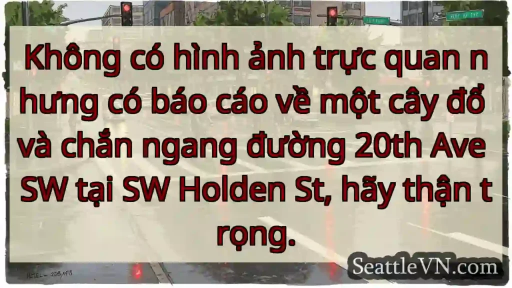 Không có hình ảnh trực quan nhưng có báo cáo về
