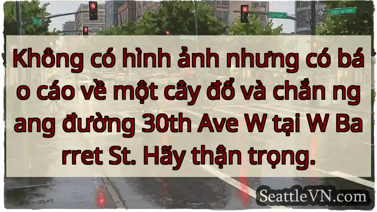 Không có hình ảnh nhưng có báo cáo về một cây đổ