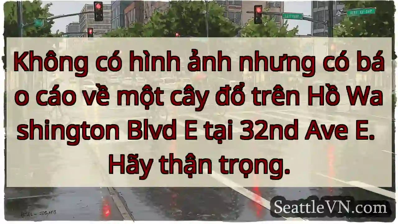 Không có hình ảnh nhưng có báo cáo về một cây đổ
