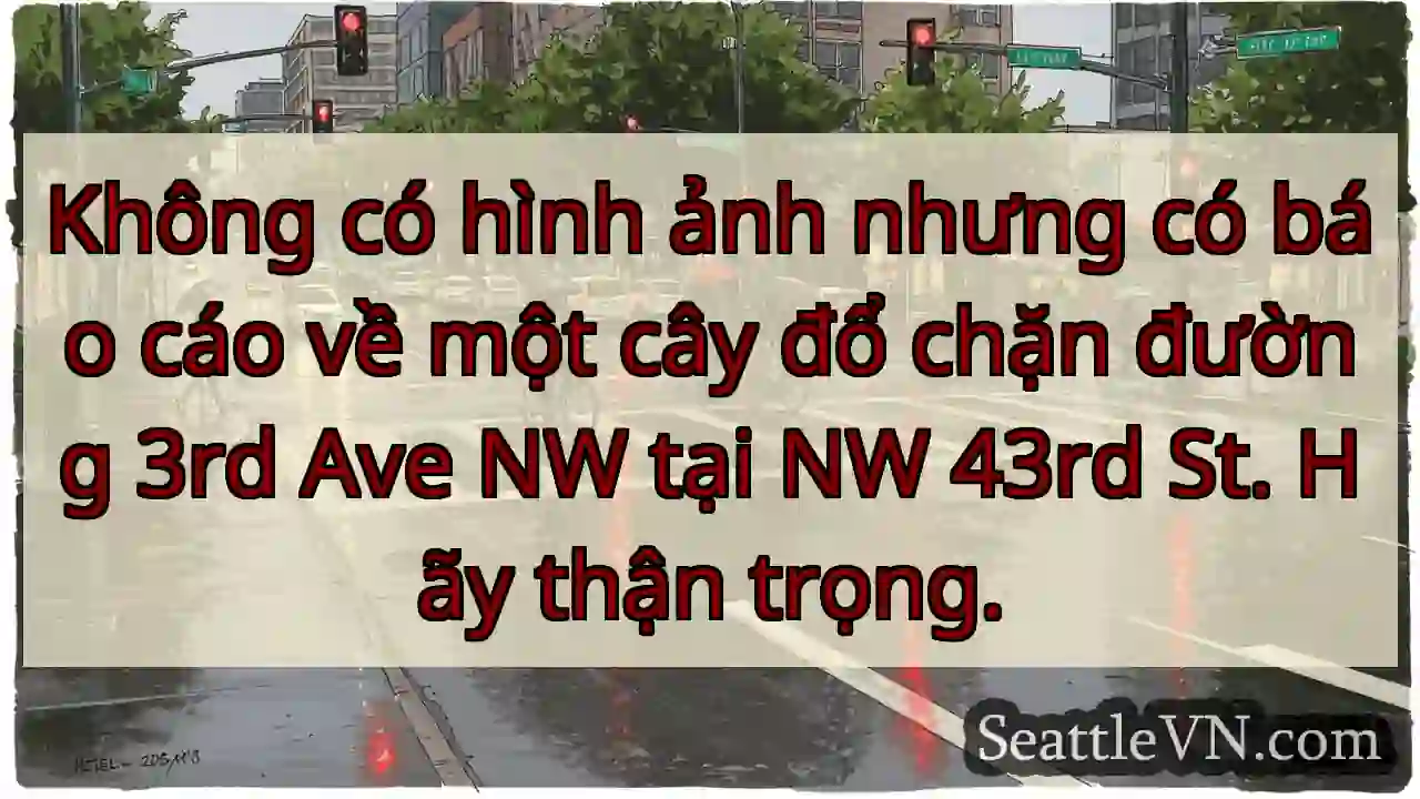 Không có hình ảnh nhưng có báo cáo về một cây đổ