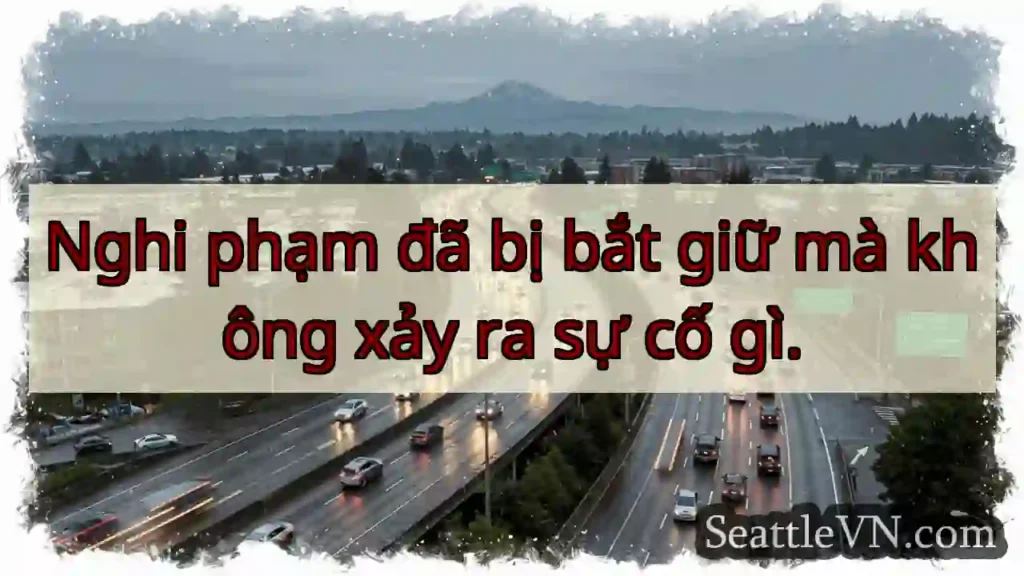 Nghi phạm đã bị bắt giữ mà không xảy ra sự cố gì.