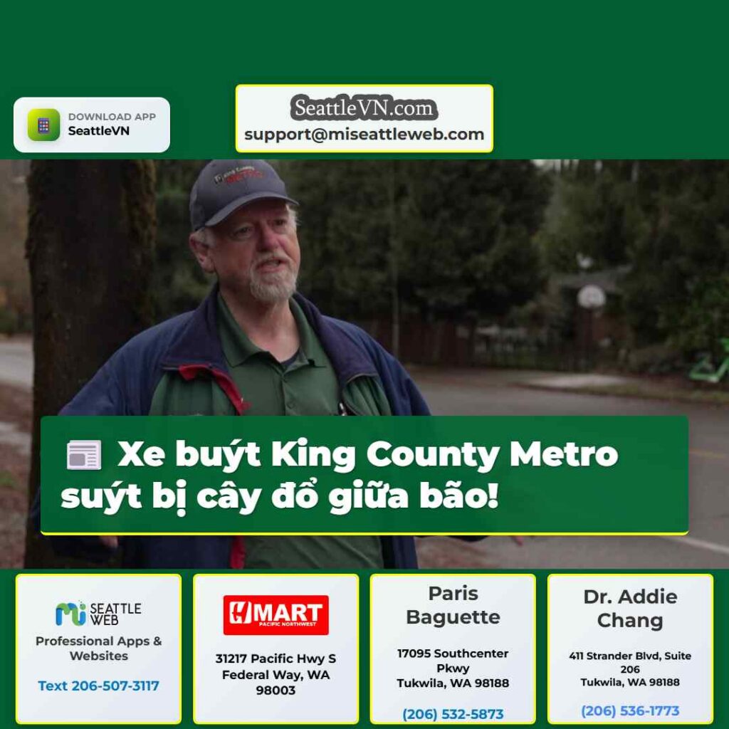 Xe buýt King County Metro suýt bị cây đổ giữa bão!