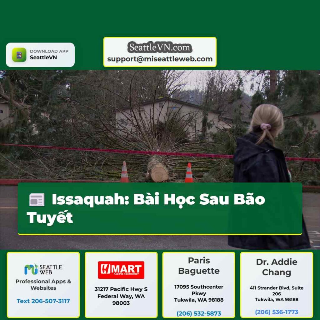 Issaquah: Bài Học Sau Bão Tuyết