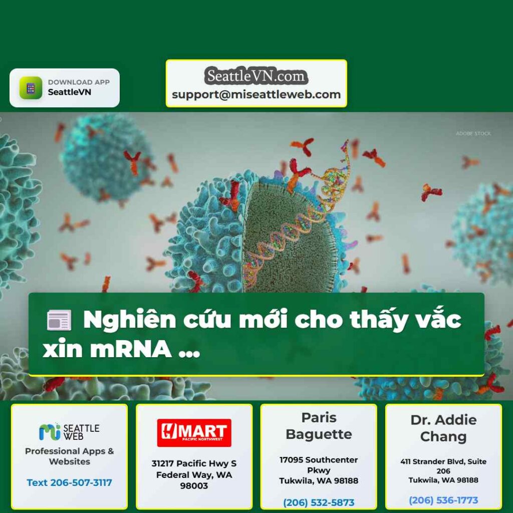 Nghiên cứu mới cho thấy vắc xin mRNA ...