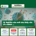 Nghiên cứu mới cho thấy vắc xin mRNA giúp tăng cường điều trị bằng liệu pháp miễn dịch ung thư HealthLink