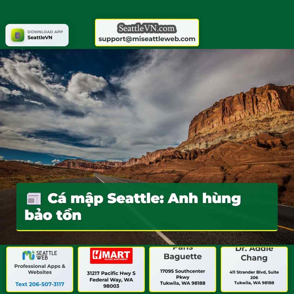 Cá mập Seattle: Anh hùng bảo tồn